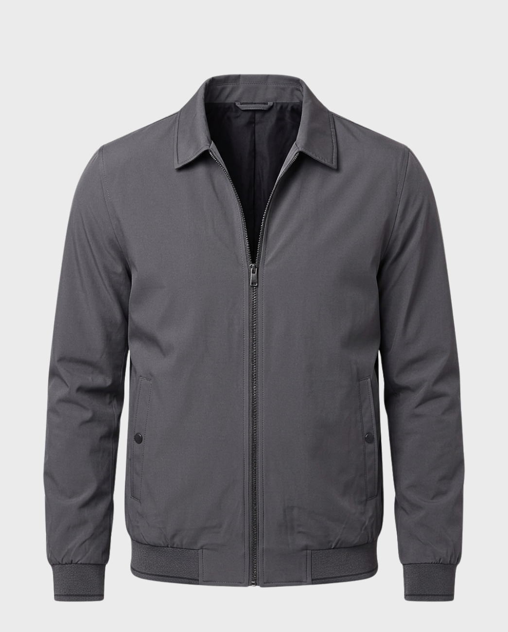 Jacket Regular Fit Gris